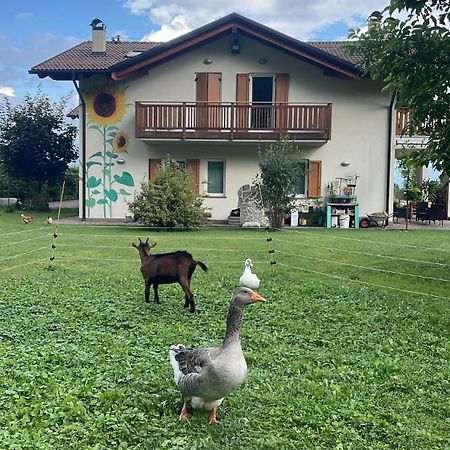 Agriturismo Girasole Фай-делла-Паганелла Экстерьер фото