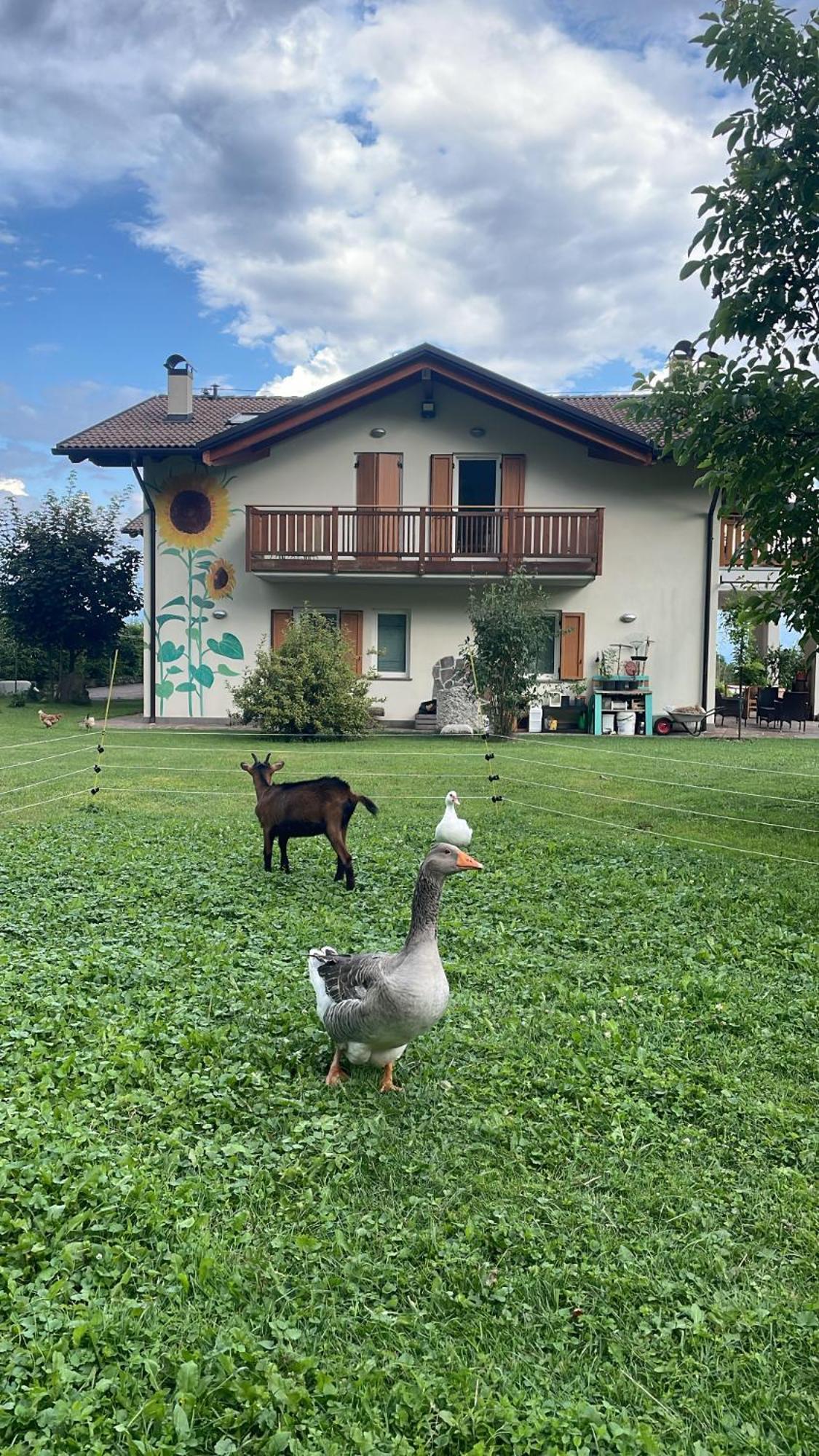Agriturismo Girasole Фай-делла-Паганелла Экстерьер фото